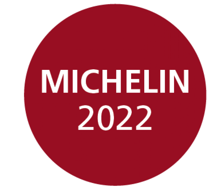 Michelin Gids 2022